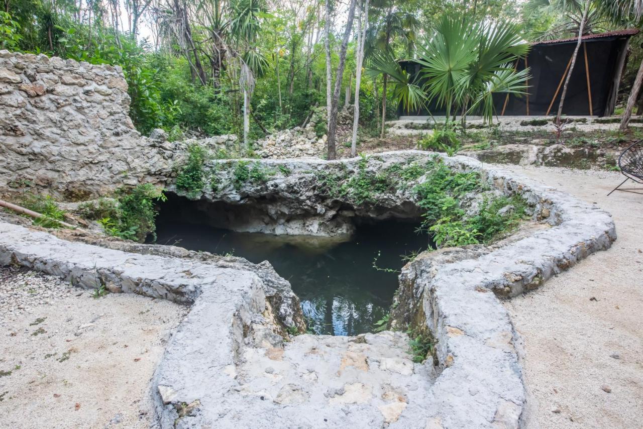 ホテル Casa Costal - Glamping Experience プエルト・モレロス エクステリア 写真
