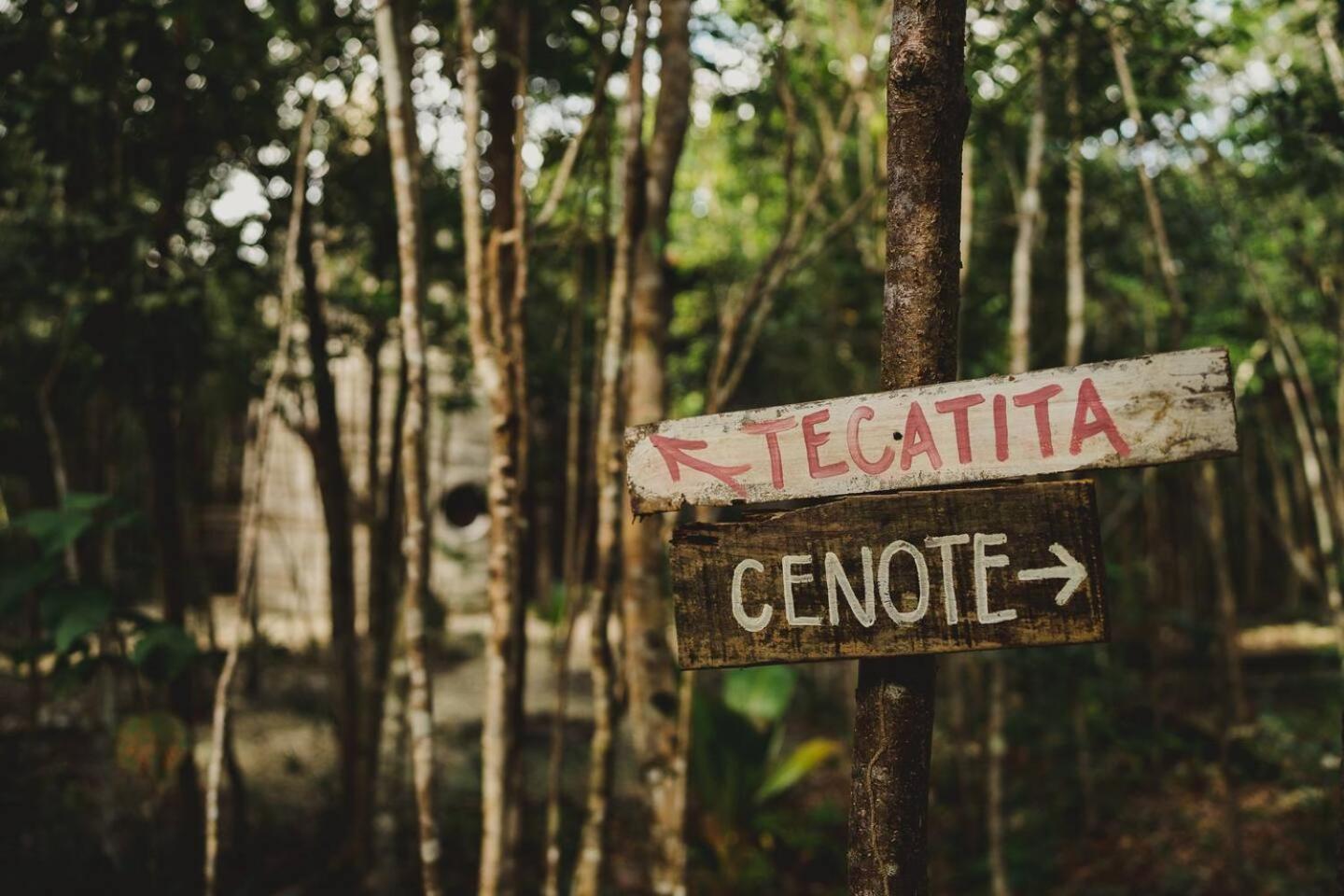ホテル Casa Costal - Glamping Experience プエルト・モレロス エクステリア 写真