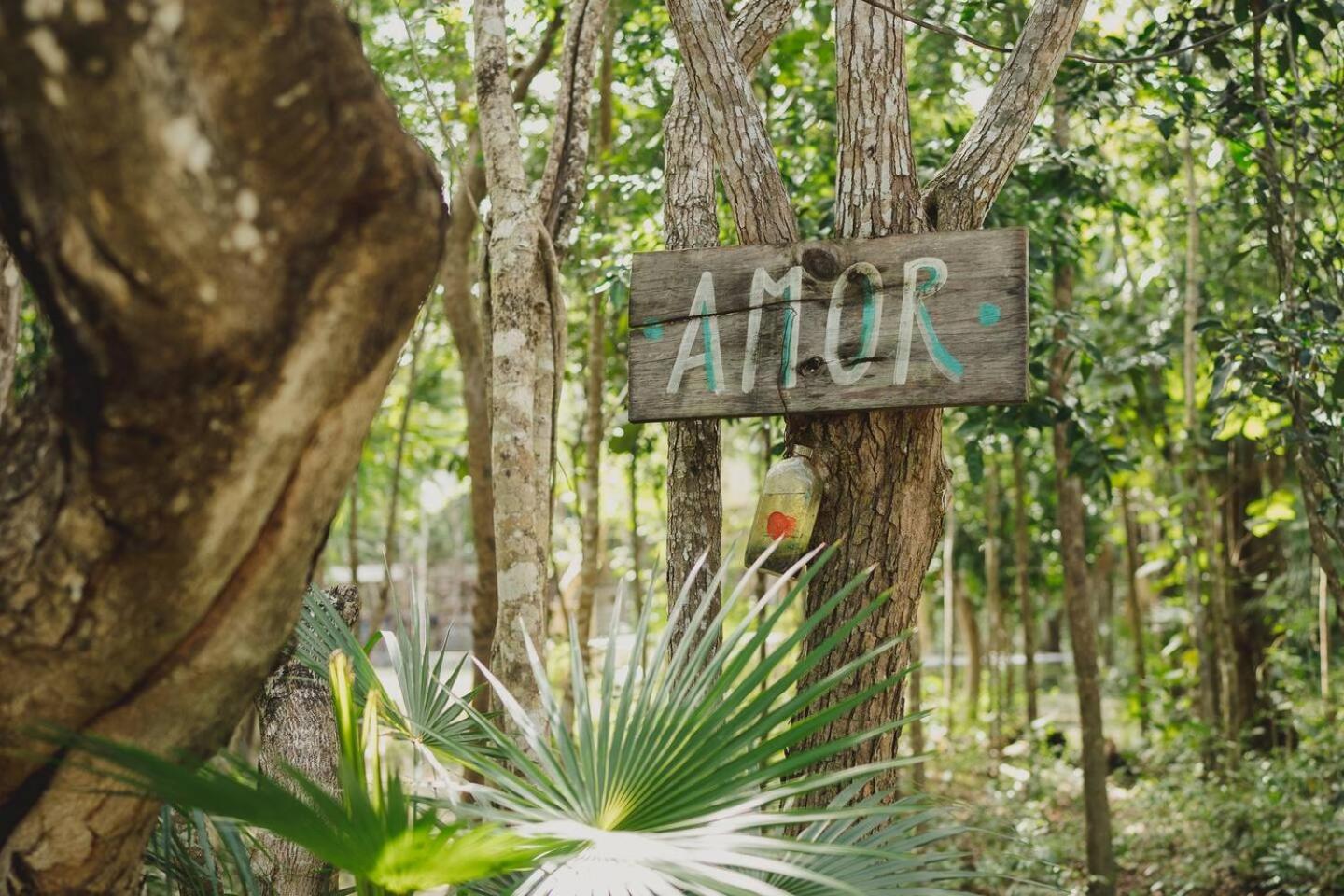 ホテル Casa Costal - Glamping Experience プエルト・モレロス エクステリア 写真